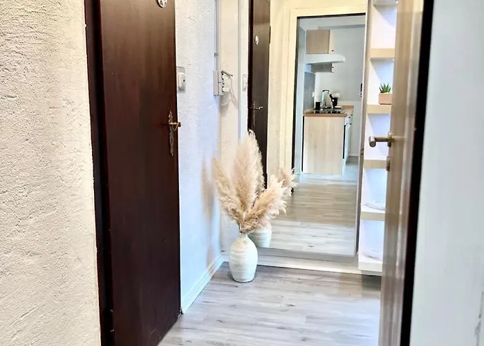 In Bei Koeln 公寓 *